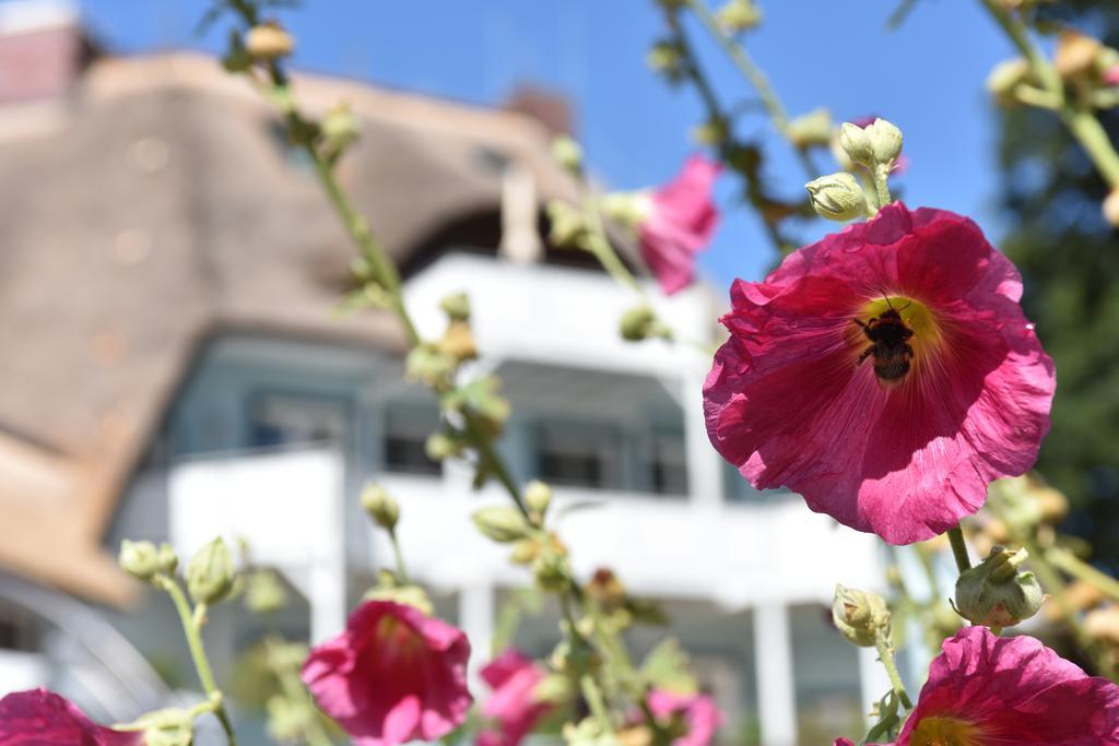 Romantik Hotel Fischerwiege ارنشوب المظهر الخارجي الصورة